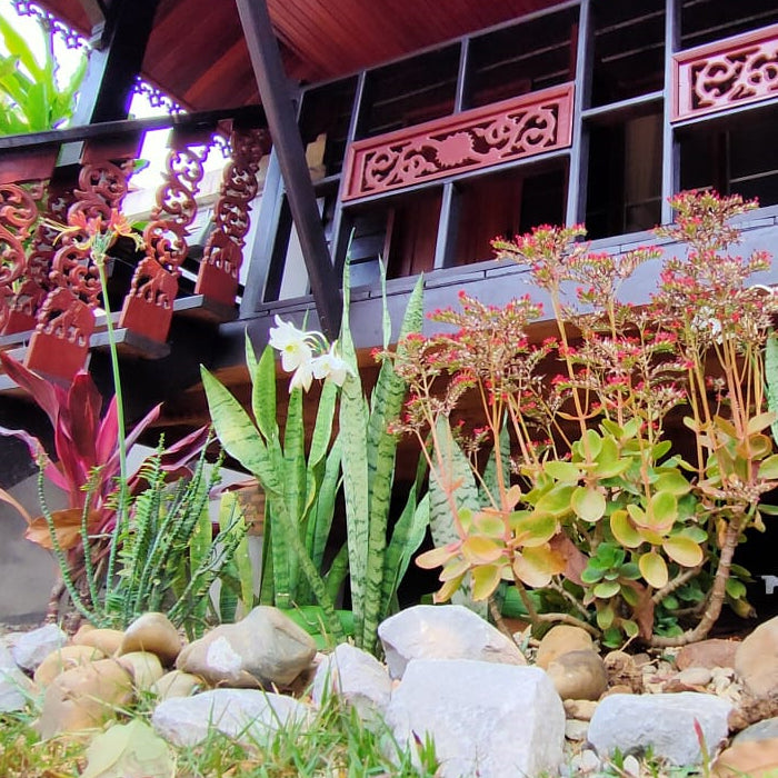 Double Bed Bungalow No 1 Traditional Lao Style with breakfast