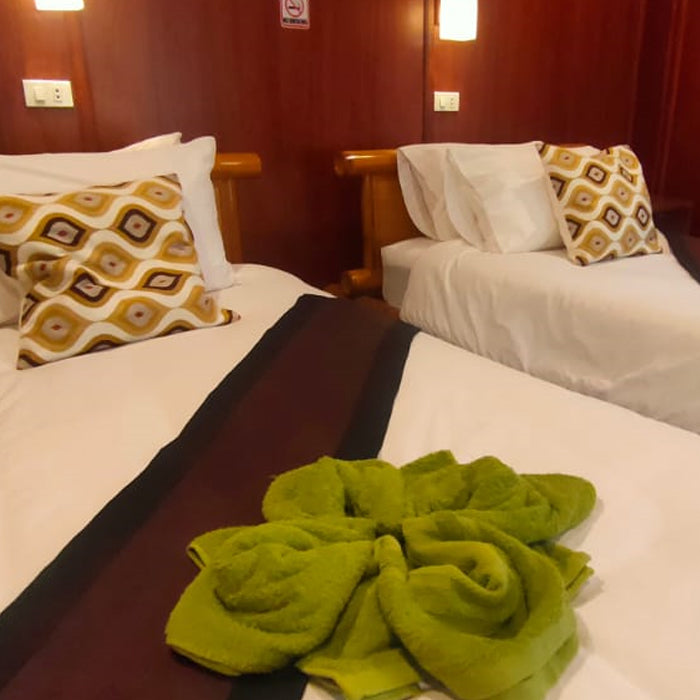 Twin Bed Bungalow No 2 Traditional Lao Style with breakfast