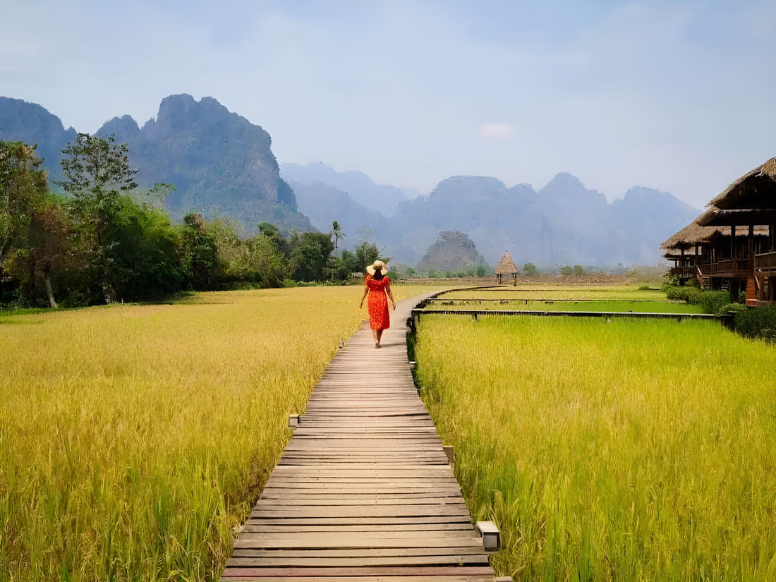 Vang Vieng Rice Paddies: A lush and tranquil landscape