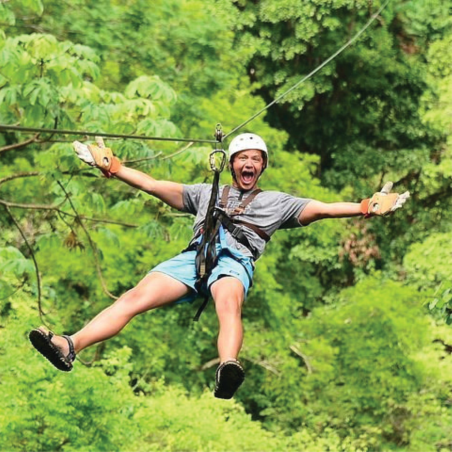 Zipline