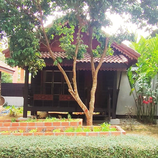 Bungalow Nr. 5 mit Doppelbett im traditionellen laotischen Stil mit Frühstück