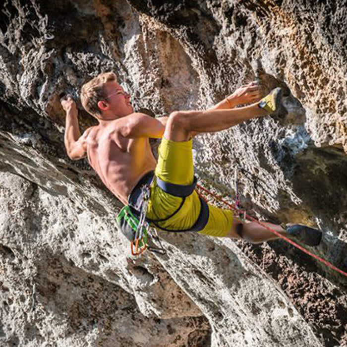 ROCK CLIMBING half day