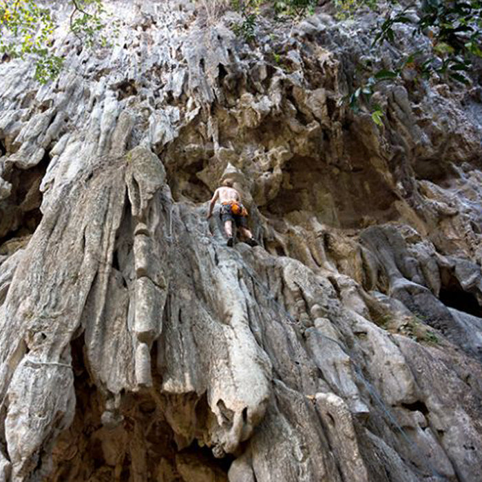 ROCK CLIMBING half day